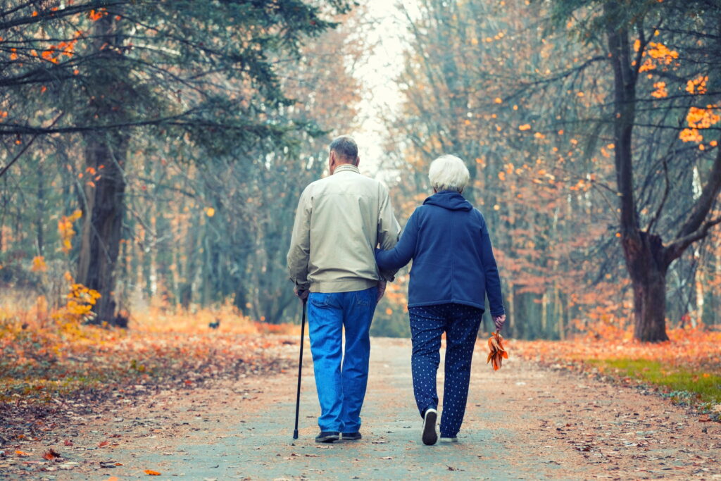Senior couple walking in an autumn park